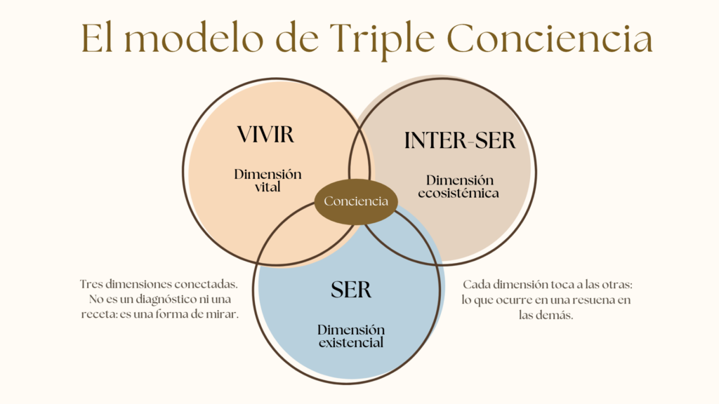 Modelo de Triple Conciencia para mirar tu vida